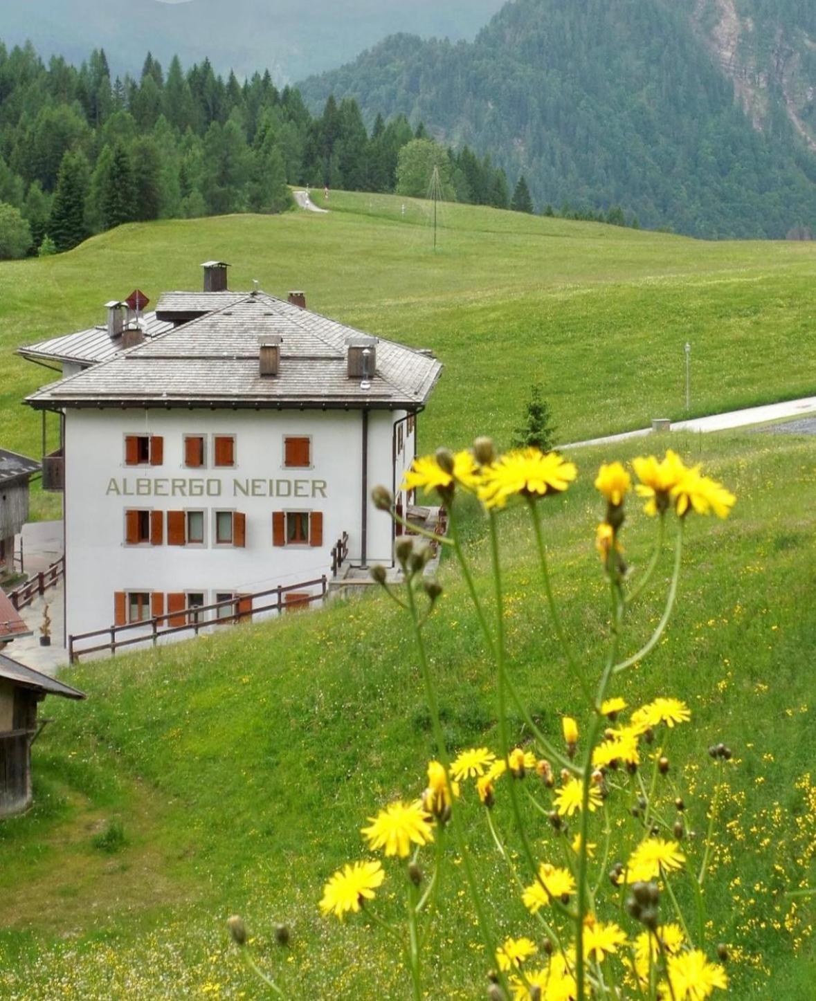 Hotel Neider Sauris Exterior foto