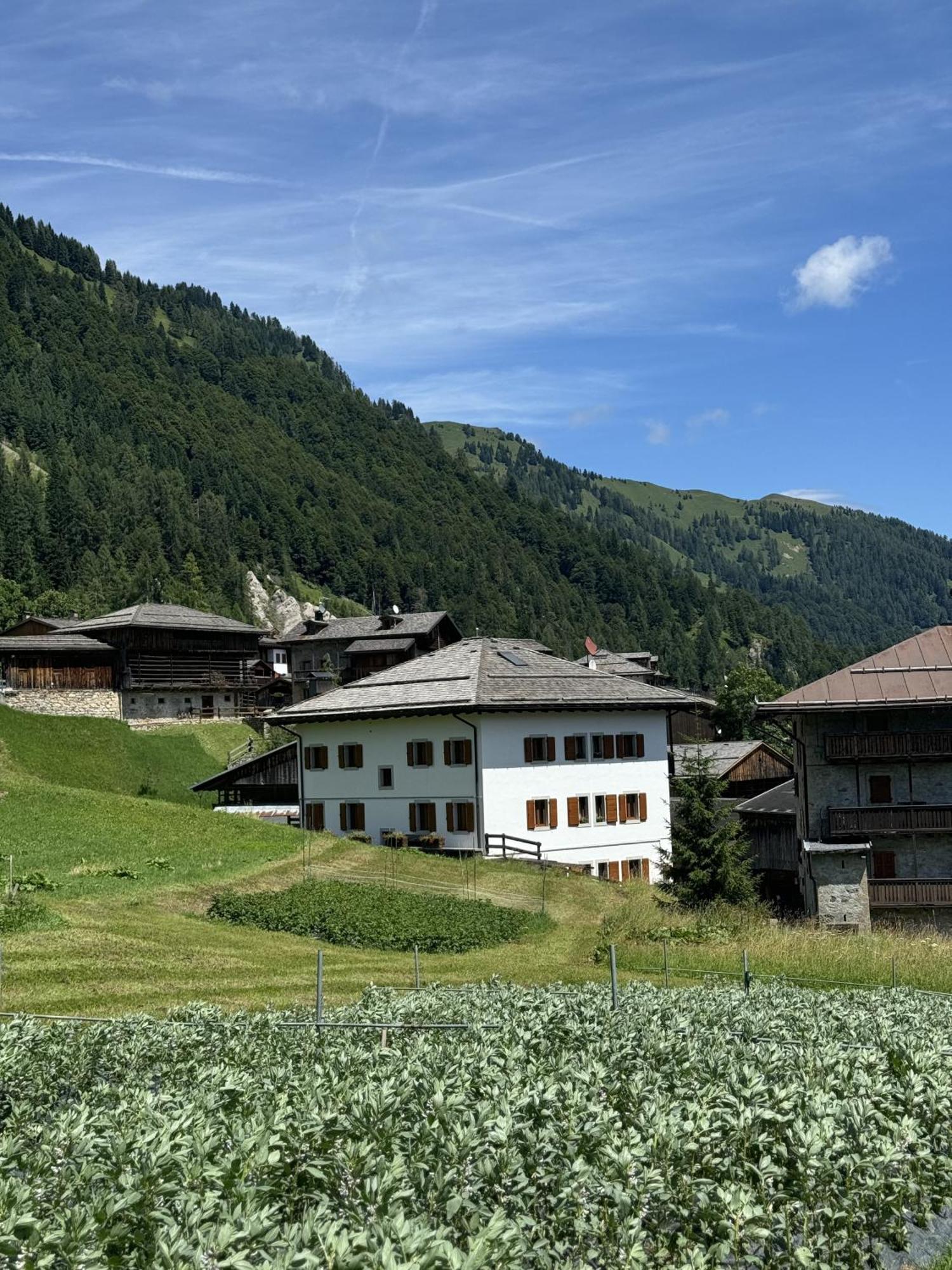 Hotel Neider Sauris Exterior foto