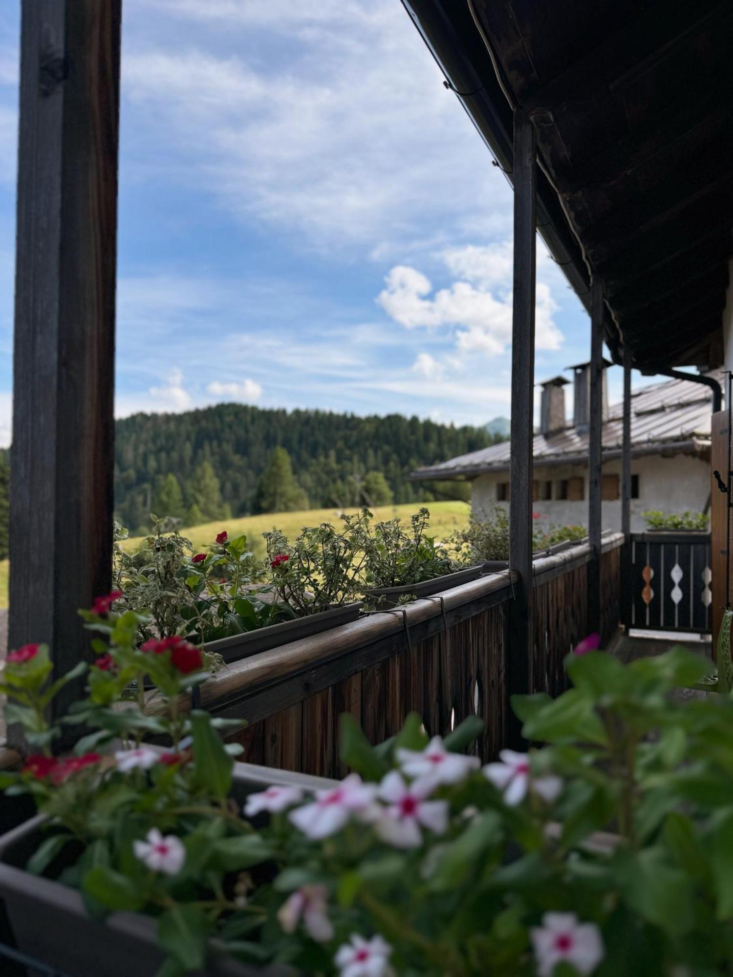 Hotel Neider Sauris Exterior foto